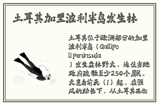 最牛正拍全景厕拍